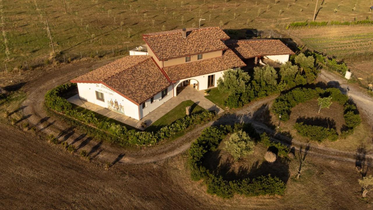 Agriturismo Sa Scalitta 卡尔博尼亚 外观 照片