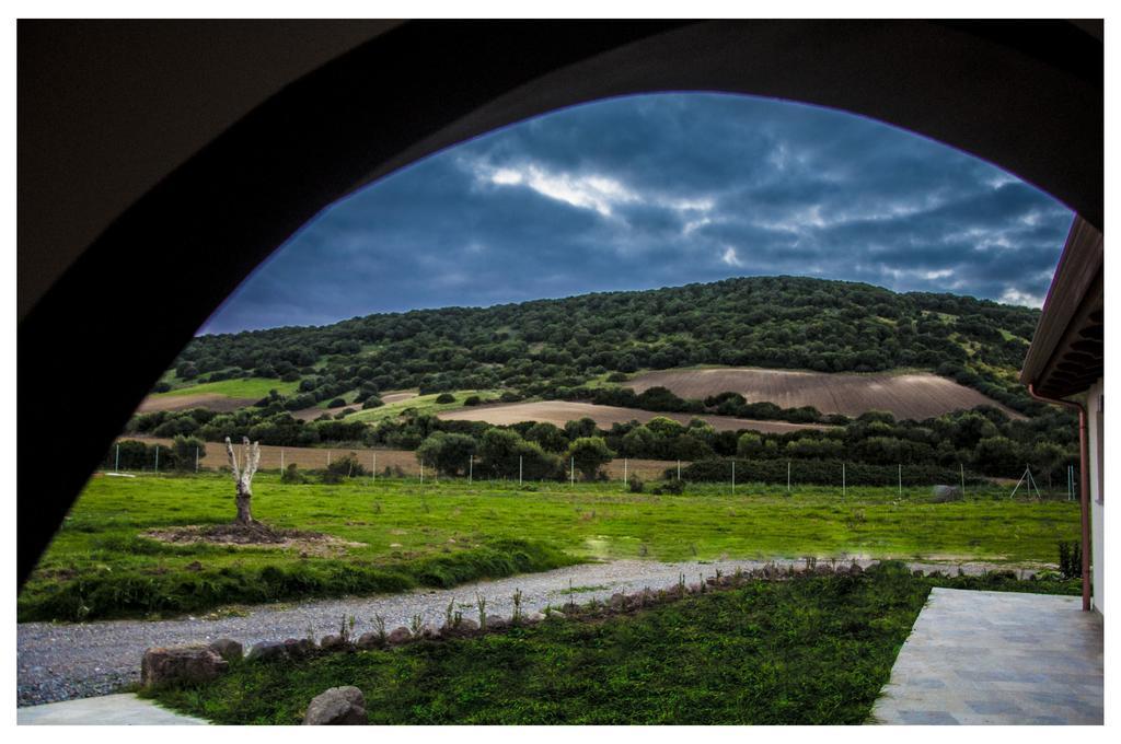 Agriturismo Sa Scalitta 卡尔博尼亚 外观 照片